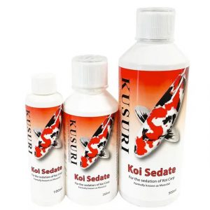 "Premium koi pond setup featuring equipment and accessories from Absolute Koi, ProfiDrum, Filtreau, Koi Collection, Perfect Ponds, and Shirley Aquatics