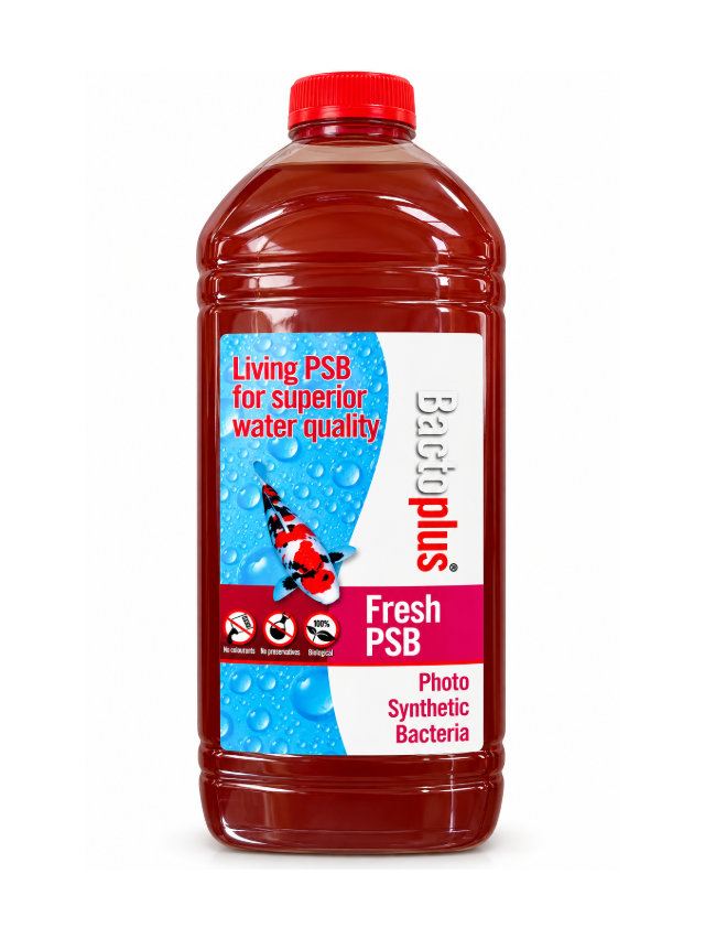 Bacto Plus PSB beneficial bacteria for pond