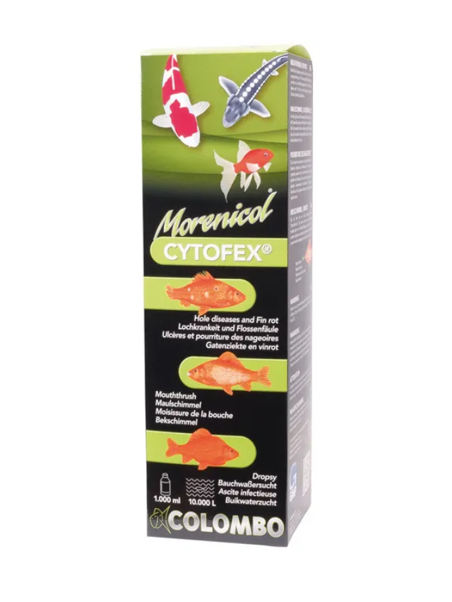 Colombo Cytofex anti-bacterial treatment for koi and pond fish